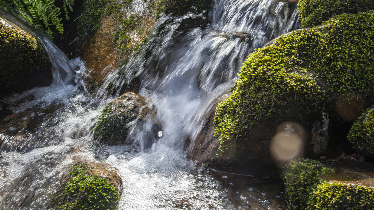 Los manantiales protegidos, fuente de salud