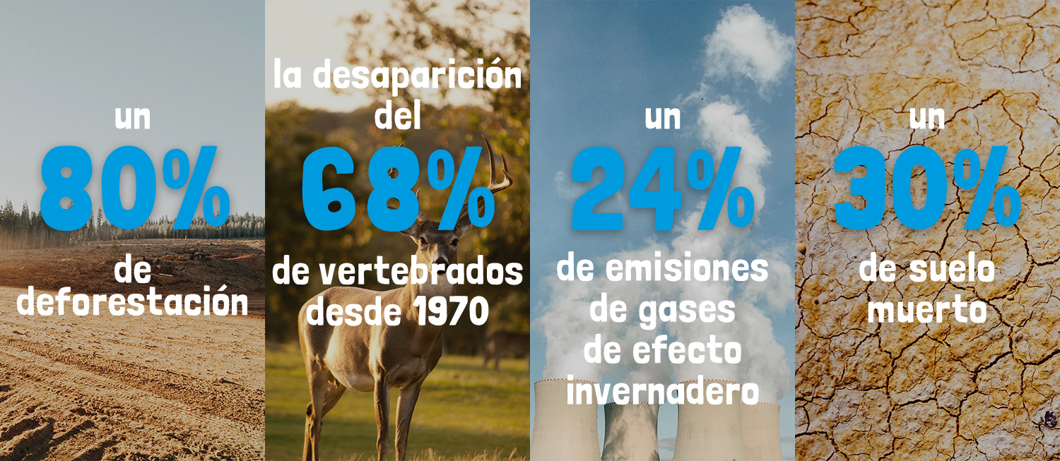 Agricultura regenerativa