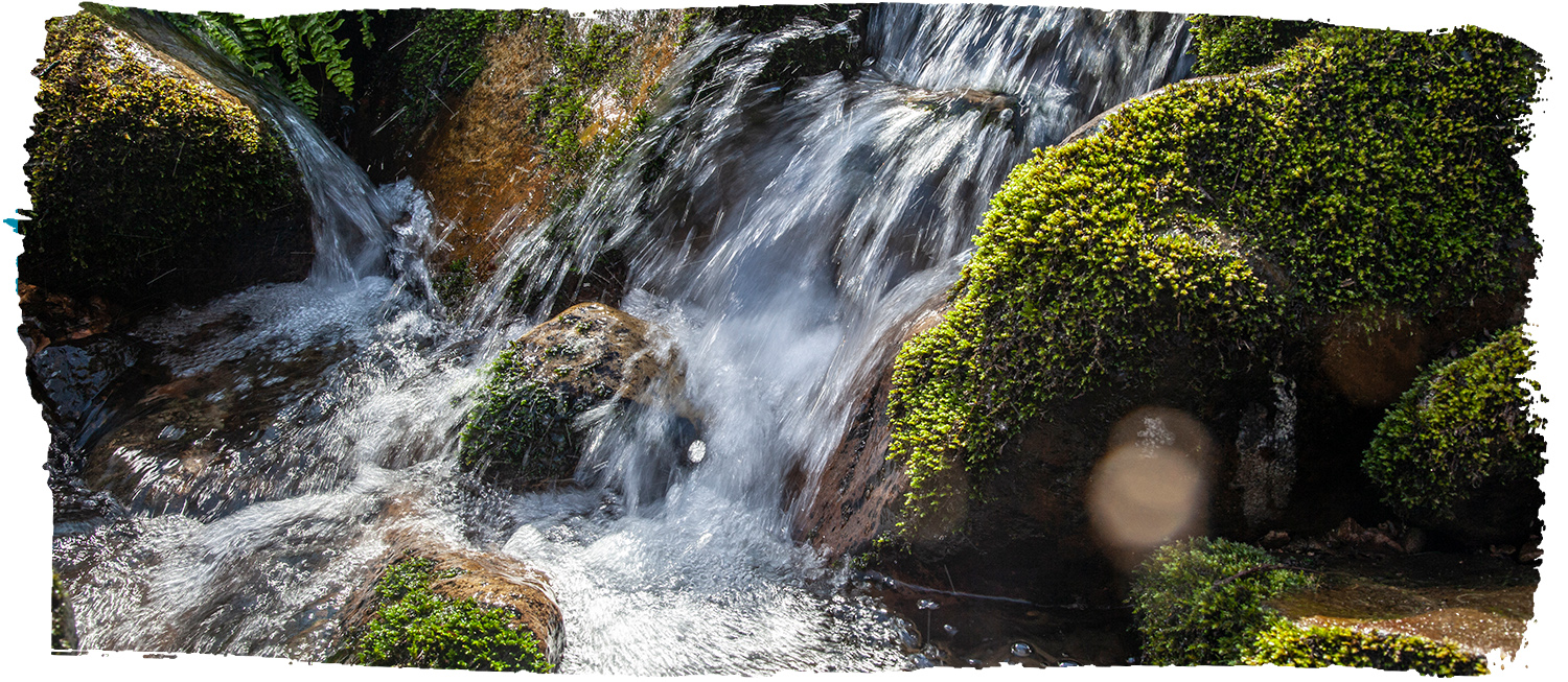Espacio Natrual Portegido