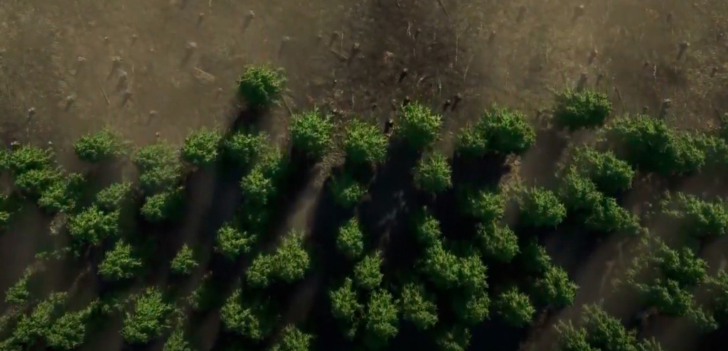 desperdicio de alimentos